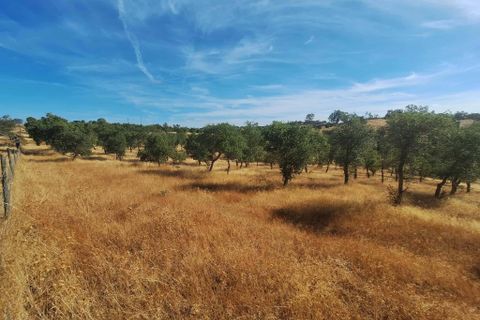 Terra a Serpa, Beja, Serpa - € 120.000 | Ref: 0166 - foto 14