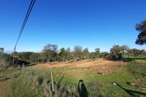 Terra a Serpa, Beja, Serpa - € 120.000 | Ref: 0166 - foto 15