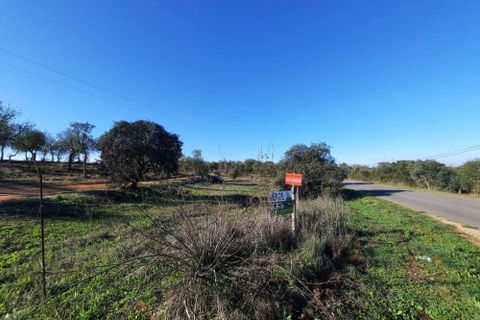 Terra a Serpa, Beja, Serpa - € 120.000 | Ref: 0166 - foto 17