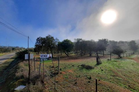 Terra a Serpa, Beja, Serpa - € 120.000 | Ref: 0166 - foto 18