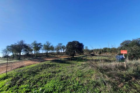 Terra a Serpa, Beja, Serpa - € 120.000 | Ref: 0166 - foto 19