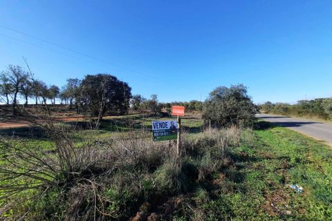Terra a Serpa, Beja, Serpa - € 120.000 | Ref: 0166 - foto 20