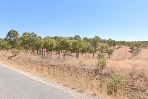 Terra a Serpa, Beja, Serpa - € 120.000 | Ref: 0166 - foto 21