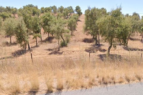 Terra a Serpa, Beja, Serpa - € 120.000 | Ref: 0166 - foto 22