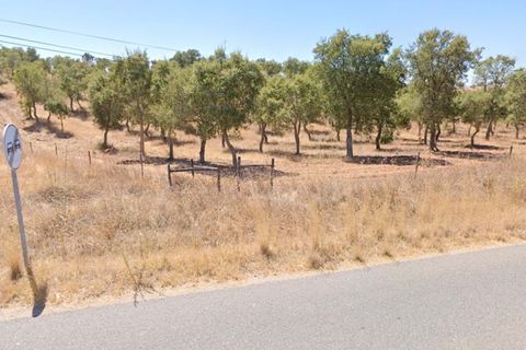 Terra a Serpa, Beja, Serpa - € 120.000 | Ref: 0166 - foto 23