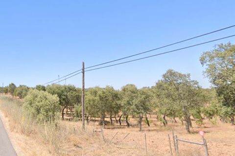 Terra a Serpa, Beja, Serpa - € 120.000 | Ref: 0166 - foto 25