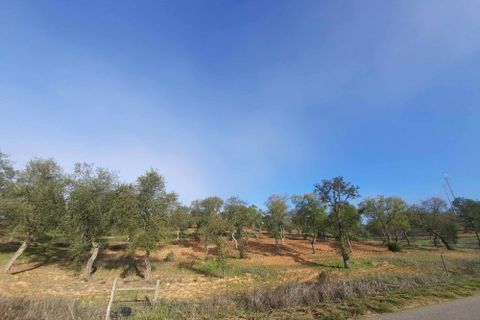 Terra a Serpa, Beja, Serpa - € 120.000 | Ref: 0166 - foto 26