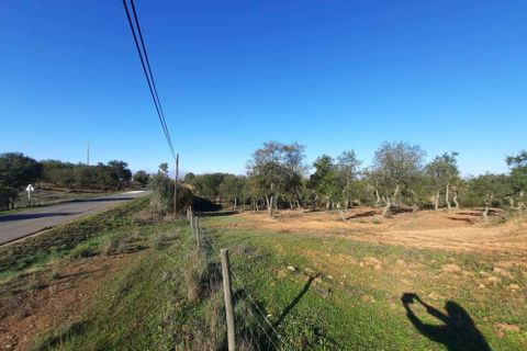 Terra a Serpa, Beja, Serpa - € 120.000 | Ref: 0166 - foto 27