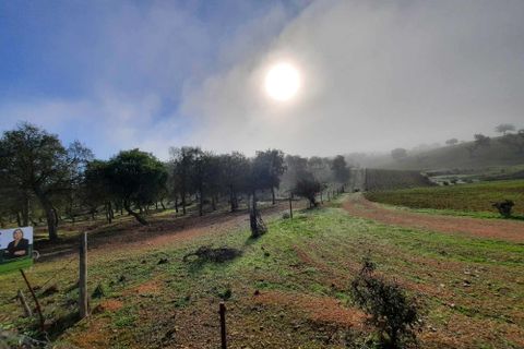 Terra a Serpa, Beja, Serpa - € 120.000 | Ref: 0166 - foto 29
