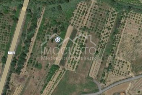 Helårsgrund i Castro Marim, Faro, Castro Marim - € 22.500 | Ref: 188 - foto 18