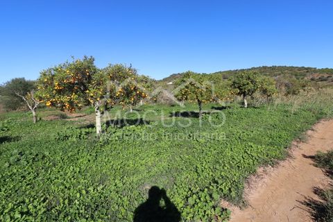 Helårsgrund i Castro Marim, Faro, Castro Marim - € 22.500 | Ref: 188 - foto 1