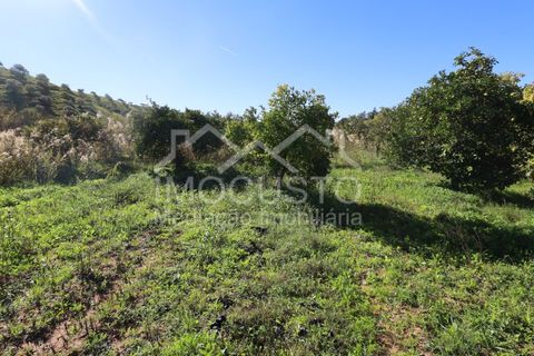Helårsgrund i Castro Marim, Faro, Castro Marim - € 22.500 | Ref: 188 - foto 2