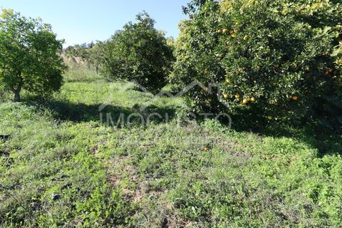 Helårsgrund i Castro Marim, Faro, Castro Marim - € 22.500 | Ref: 188 - foto 3