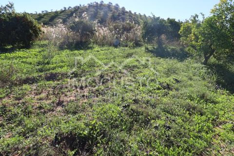 Helårsgrund i Castro Marim, Faro, Castro Marim - € 22.500 | Ref: 188 - foto 4
