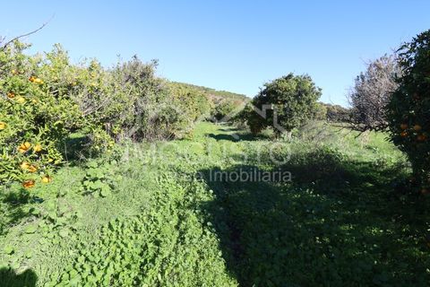 Helårsgrund i Castro Marim, Faro, Castro Marim - € 22.500 | Ref: 188 - foto 5