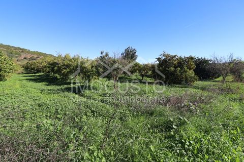 Helårsgrund i Castro Marim, Faro, Castro Marim - € 22.500 | Ref: 188 - foto 6