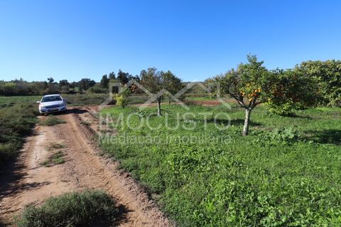 Helårsgrund i Castro Marim, Faro, Castro Marim - € 22.500 | Ref: 188 - foto 10