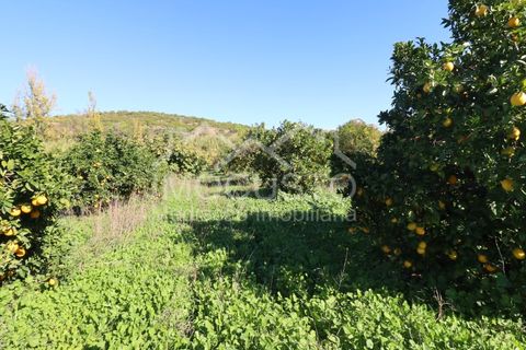 Helårsgrund i Castro Marim, Faro, Castro Marim - € 22.500 | Ref: 188 - foto 12