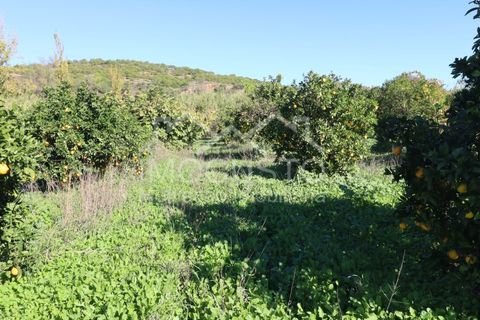 Helårsgrund i Castro Marim, Faro, Castro Marim - € 22.500 | Ref: 188 - foto 13