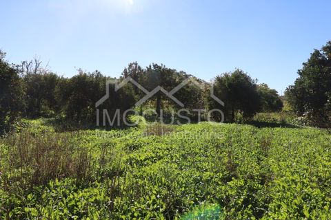 Helårsgrund i Castro Marim, Faro, Castro Marim - € 22.500 | Ref: 188 - foto 15