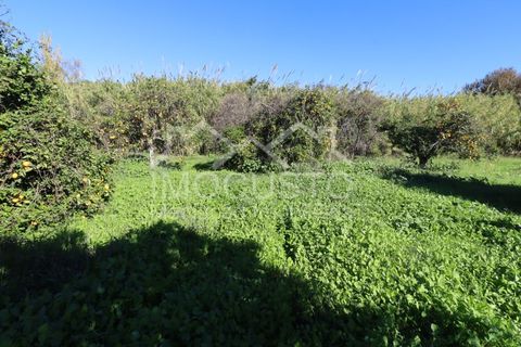 Helårsgrund i Castro Marim, Faro, Castro Marim - € 22.500 | Ref: 188 - foto 16