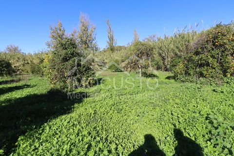 Helårsgrund i Castro Marim, Faro, Castro Marim - € 22.500 | Ref: 188 - foto 17