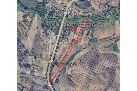 Helårsgrund i Castro Marim, Faro, Castro Marim - € 22.500 | Ref: 188 - foto 22