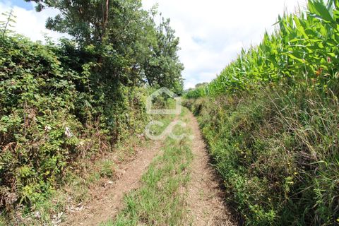 Terra a Lagoa, Sao Miguel, Lagoa - € 59.950 | Ref: 326/T/03484 - foto 8