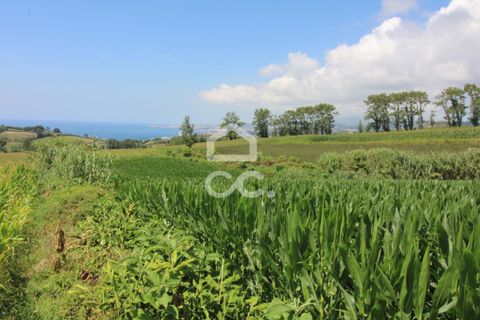 Terra a Lagoa, Sao Miguel, Lagoa - € 59.950 | Ref: 326/T/03484 - foto 10