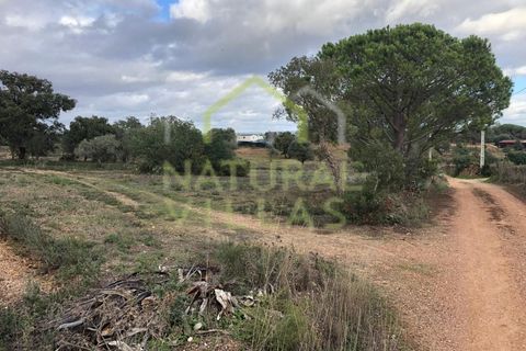 Helårsgrund i Silves, Faro, Silves - € 35.000 | Ref: TR031_VEND - foto 1
