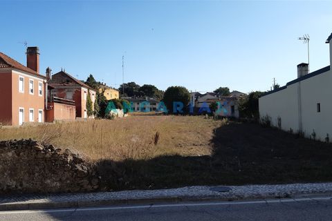 Helårsgrund i Leiria, Leiria, Leiria - € 145.000 | Ref: ANG959 - foto 6