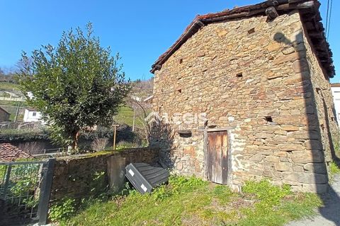 Villa a Aller, Asturias, Aller - € 14.000 | Ref: QPE00253/10606 - foto 33