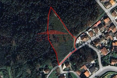 Helårsgrund i Cesar, Aveiro, Cesar - € 219.000 | Ref: AV426 - foto 2