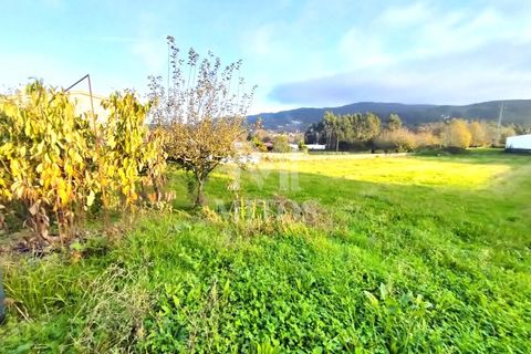 Helårsgrund i Barcelos, Braga, Barcelos - € 70.000 | Ref: S137 - foto 12