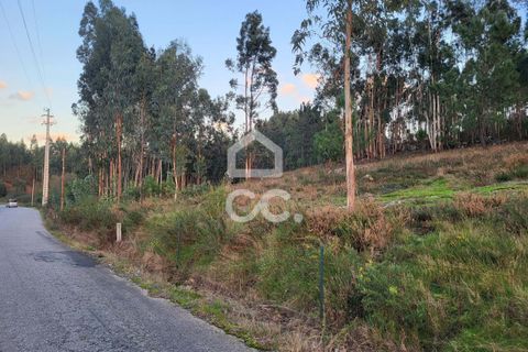 Helårsgrund i Guimaraes, Braga, Guimaraes - € 60.500 | Ref: 336/T/01609 - foto 1