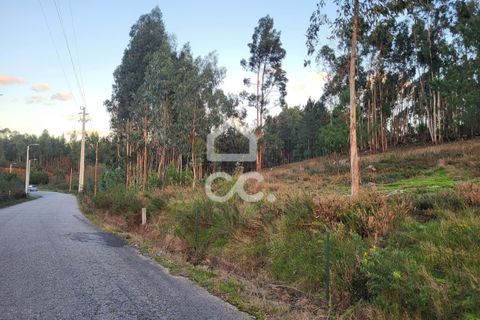 Helårsgrund i Guimaraes, Braga, Guimaraes - € 60.500 | Ref: 336/T/01609 - foto 2