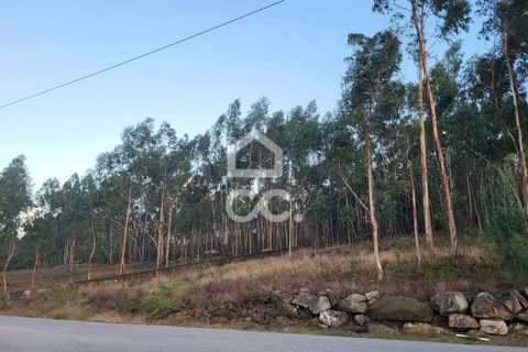 Helårsgrund i Guimaraes, Braga, Guimaraes - € 60.500 | Ref: 336/T/01609 - foto 7