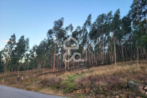 Helårsgrund i Guimaraes, Braga, Guimaraes - € 60.500 | Ref: 336/T/01609 - foto 8