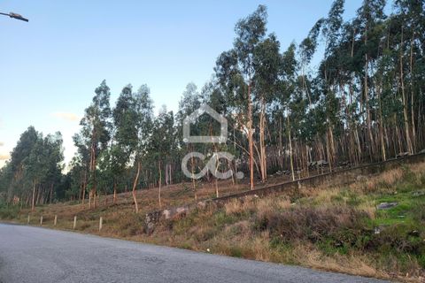 Helårsgrund i Guimaraes, Braga, Guimaraes - € 60.500 | Ref: 336/T/01609 - foto 9