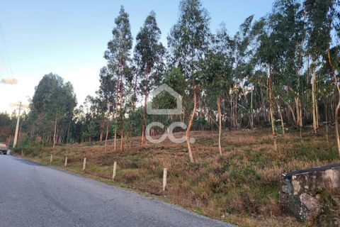 Helårsgrund i Guimaraes, Braga, Guimaraes - € 60.500 | Ref: 336/T/01609 - foto 10