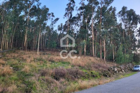 Helårsgrund i Guimaraes, Braga, Guimaraes - € 60.500 | Ref: 336/T/01609 - foto 11