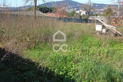 Helårsgrund i Serzedelo, Braga, Serzedelo - € 90.000 | Ref: 336/T/01620 - foto 6