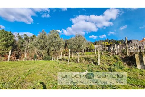 Helårsgrund i Amares, Braga, Amares - € 48.000 | Ref: 7036 - foto 4