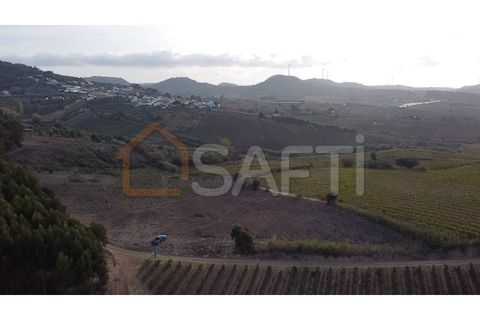 Helårsgrund i Mafra, Lisbon, Mafra - € 40.000 | Ref: SAFTI:004161 - foto 2