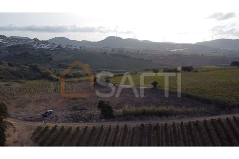 Helårsgrund i Mafra, Lisbon, Mafra - € 40.000 | Ref: SAFTI:004161 - foto 3