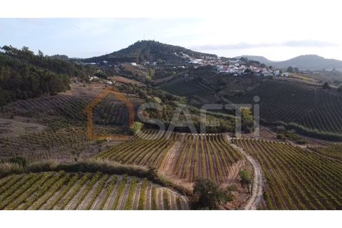 Helårsgrund i Mafra, Lisbon, Mafra - € 40.000 | Ref: SAFTI:004161 - foto 4