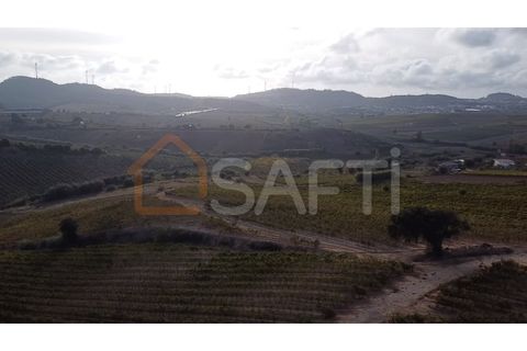 Helårsgrund i Mafra, Lisbon, Mafra - € 40.000 | Ref: SAFTI:004161 - foto 5