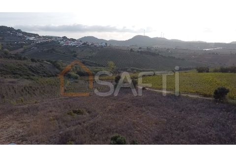Helårsgrund i Mafra, Lisbon, Mafra - € 40.000 | Ref: SAFTI:004161 - foto 6