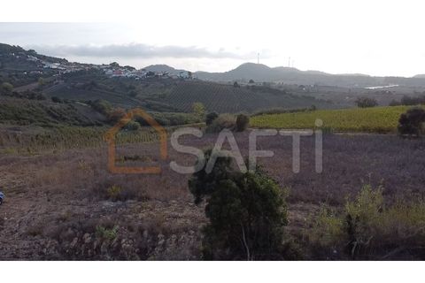 Helårsgrund i Mafra, Lisbon, Mafra - € 40.000 | Ref: SAFTI:004161 - foto 7