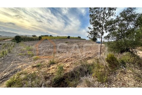 Helårsgrund i Mafra, Lisbon, Mafra - € 40.000 | Ref: SAFTI:004161 - foto 8